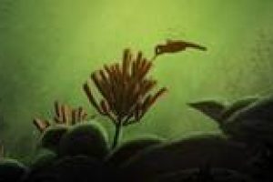 images002